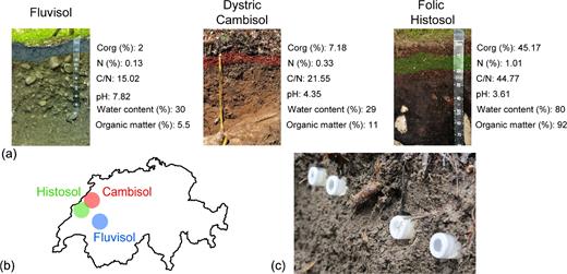 Soils analyzed in this study. (a) The physicochemical properties of the three selected soils, a Fluvisol, a Dystic Cambisol and a Folic Histosol, are indicated alongside an image of the soil profile used for the installation of the columns. C/N ratio (C/N) was calculated using the carbon and nitrogen contents. The soil horizon in which the columns were placed is represented by the colored bands. (b) Geographical location of the three soils in Switzerland. (c) Close view of columns in the Fluvisol.