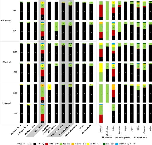 Taxonomical breakdown of the bacterial OTU richness present in the soil only (black), middle only (red), top only (green) and the OTUs shared between compartments (color code shown below the figure) for the two media used for enrichment (see Fig. 2). The comparison is presented as percentage values but the total number of OTUs in each taxonomic group is indicated within the bars. The same analysis for specific genera on the phyla Firmicutes, Planctomycetes and Proteobacteria, with the highest proportion of OTUs in the columns, is shown on the right side of the figure.