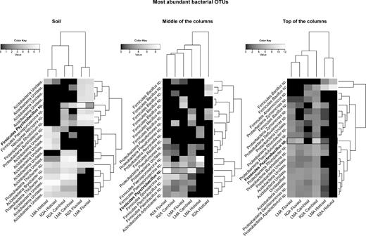 Heat maps representing the relative abundance of the 20 most abundant bacterial OTUs in the soils (left), at the middle (center) and at the top of the columns (right). The only OTU common to all datasets, assigned to the genus Psychrobacillus, is highlighted in the figure. The relative abundances were log(x + 1) transformed.
