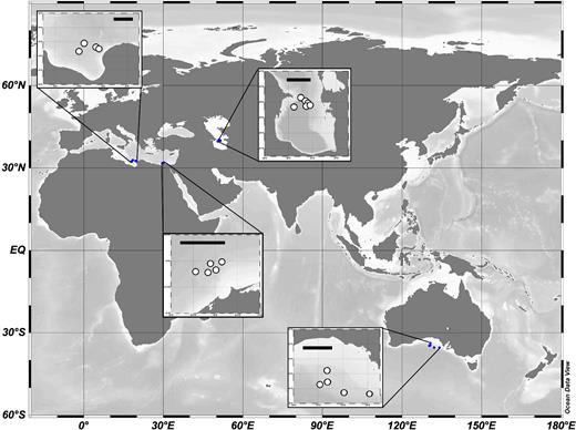 Map of sampling locations. Four basins were sampled. Sampling stations are shown as white circles in the zoomed-in regions. Scale bars in the zoomed-in basin maps correspond to 100 km.