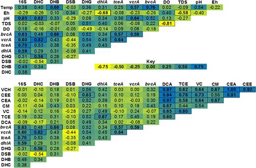 Spearman's correlation matrices of genetic and physicochemical parameters for aquifer samples. Positive correlations are shown in blue, negative correlations are shown in yellow and a lack of correlation is shown in green. Cells with dark borders represent statistically significant correlations (p < 0.05, two-tailed t-test). Surface water samples were not included in this analysis. Abbreviations not previously defined are: VCH: total volatile chlorinated hydrocarbons; CEE, total chlorinated ethenes; CEA, total chlorinated ethanes; CM, chloromethanes.