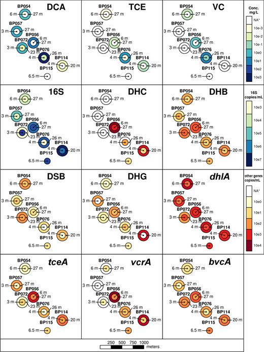 Spatial distribution of pollutants and genes in aquifer samples. NA*: not applicable; indicates concentrations below the cutoff chosen for heat mapping or below the detection limit. See Table 1 and Tables S5–S6 for more information.