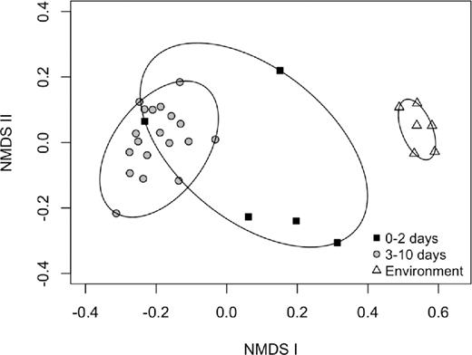 NMDS of the OTUs in the fecal samples of young chicks (0–2 days, n = 5) and old chicks (3–10 days, n = 19) of dunlin and red phalaropes, and environmental samples (n = 6), at Utqiaġvik, Alaska, 2013.