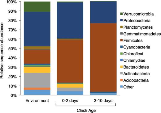 Relative abundance of bacterial phyla in environmental samples and fecal samples of young (0–2 days) and old (3–10 days) chicks of dunlin and red phalaropes at Utqiaġvik, Alaska, 2013. Day 0 represents day of hatching.