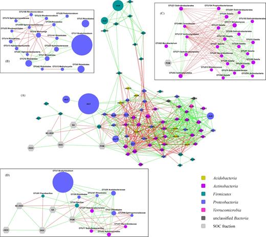 Association network of OTUs and SOC fractions. OTUs are represented by circles, SOC fractions by hexagons. The size of the OTU nodes reflects their relative abundance, and they are colored based on their phylum-level classification. Green edges indicate positive and red edges mean negative associations. (A) The whole network with yFiles organic layout. (B) Subnetwork of the OTUs from phylum Proteobacteria in a manually arranged layout. (C) Subnetwork of the OTUs from phylum Actinobacteria and POM in a manually arranged layout. (D) First neighbors of the SOC fractions in a manually arranged layout. In panels B, C and D, the lowest level taxonomic classification with at least 70% bootstrap support was added to the labels of the OTU nodes.