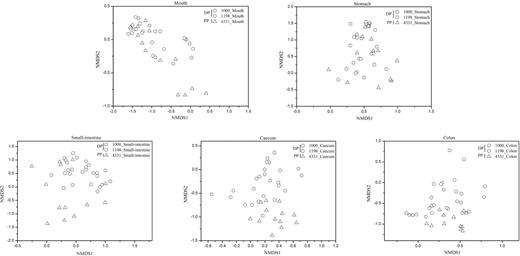 NMDS plots of the weighted-UniFrac dissimilarity index comparing the bacterial communities in the same gut region between Daurian pikas (DP) and Plateau pikas (PP).