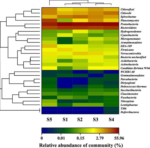 Microbial community structure and its relative abundance in granules of five size distributions at phylum level.