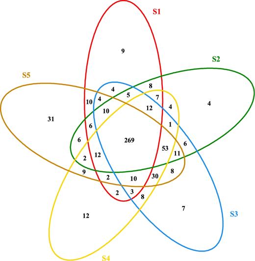 Venn diagram of granules with five size distributions.