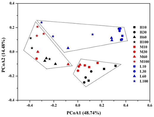 Principal coordinate analysis (PCoA) showing the changes of prokaryotic community structure (weighted) on water table and depth. H: site with high water table; L: site with low water table; M: site with intermediate water table; 10: depth of 0–10 cm; 30: depth of 20–30 cm; 60: depth of 50–60 cm; 100: depth of 90–100 cm.