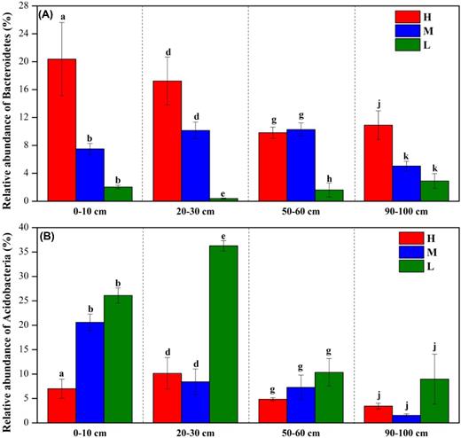 The changes of relative abundance of Bacteroidetes (A) and Acidobacteria (B) along the water-table gradient in the depth of 0–10, 20–30, 50–60 and 90–100 cm. Different letters in the same depthindicate significant difference at the level of P < 0.05 (a, b and c for the depth of 0–10 cm; d, e and f for the depth of 20–30 cm; g, h and i for the depth of 50–60 cm; j, k and l for the depth of 90–100 cm).