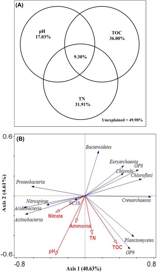 The relative contributions of environmental factors quantified by variance partitioning analysis (A) and the relationship between microbial phyla and environmental factors performed by redundancy analysis (B). TN: total nitrogen; TOC: total organic carbon.