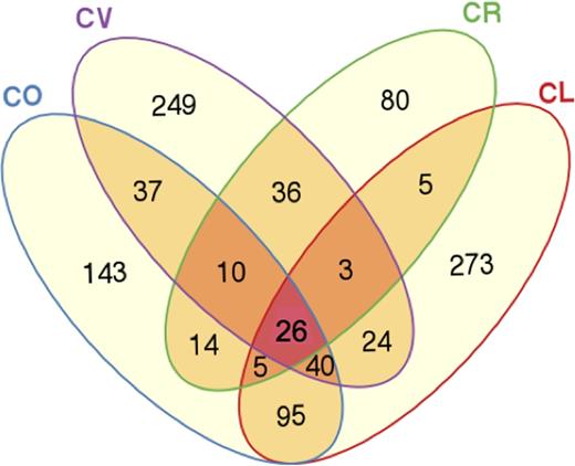 Venn diagram representing shared operational taxonomic units (OTUs) between fish species. CL, Chaetodonlunulatus (n = 5); CO, C. ornatissimus (n = 5); CR, C. reticulatus (n = 5); CV, C. vagabundus (n = 4).
