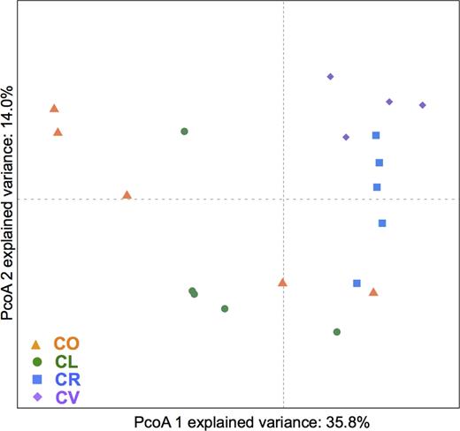 PCoA analyses of the gill mucus microbiota of four species of butterflyfish. CL, Chaetodonlunulatus (n = 5); CO, C. ornatissimus (n = 5); CR, C. reticulatus (n = 5); CV, C. vagabundus (n = 4); based on weighted Unifrac distances.