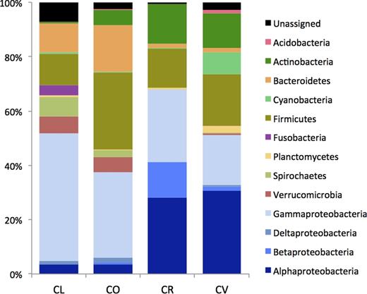 Bacterial diversity at the phylum level and class level (only Proteobacteria) determined by 454 pyrosequencing. CL, Chaetodonlunulatus; CO, C. ornatissimus; CR, C. reticulatus; CV, C. vagabundus.