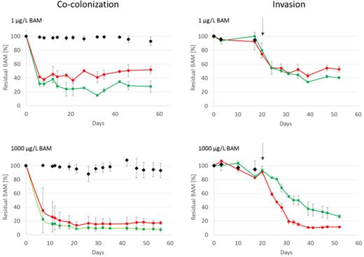 Residual BAM in the effluent (expressed as the percentage of the effluent concentration of the abiotic control) of flow channels fed with either 1 μg/L BAM (top) or 1000 μg/L BAM (bottom), inoculated according to the co-colonization mode (left) or the invasion mode (right): channels inoculated with the SFC (black diamonds), channels inoculated with the combination SFC and MSH1-GFP (red circle) and systems inoculated with only MSH1-GFP (green square). The arrow in the left panel indicates the moment of inoculation of MSH1-GFP in channels operated according the invasion mode. Values are average values (n = 3) with standard deviation indicated by the error bar.