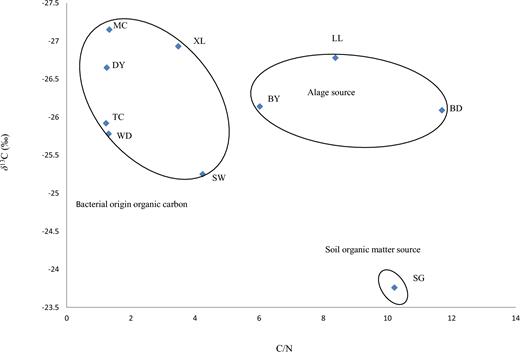 Distinctive source combination of C/N ratios and δ13C values from water samples at the Maocun watershed. MC, TC, WD, DY, BD, SW, SG, BY, LL and XL are the sampling sites.