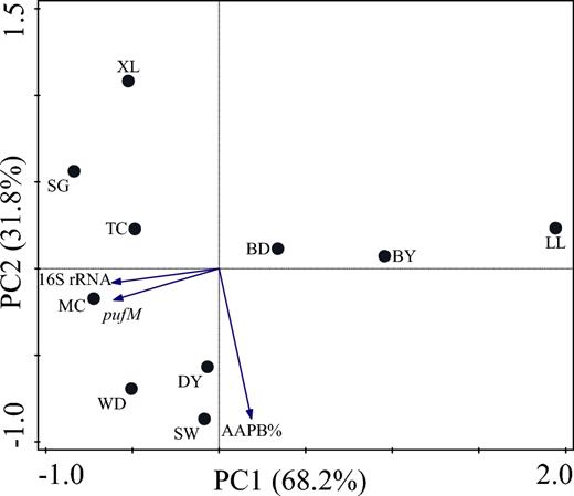 PCA biplot of sampling site and environmental variables at the Maocun watershed. MC, TC, WD, DY, BD, SW, SG, BY, LL and XL are the sampling sites.