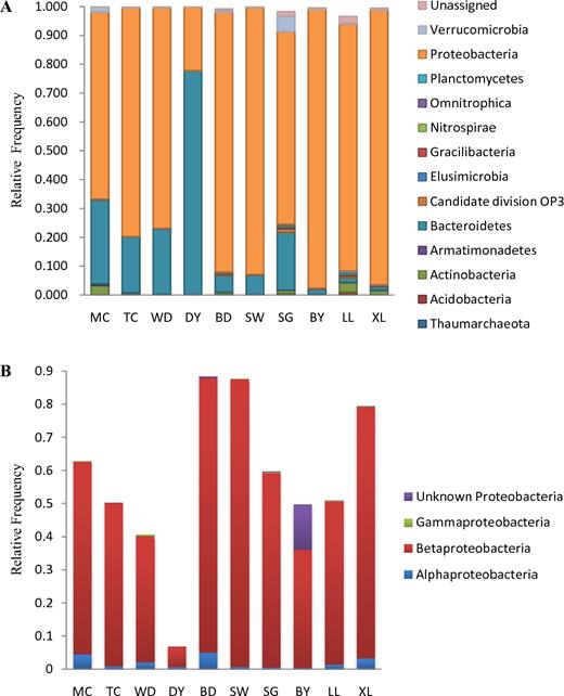 (A) Phyla level of taxonomy and distribution based on the V3 region of 16S rRNA tag of bacterioplankton communities and (B) the relative frequency of α-, β- and γ- and unknown Proteobacteria at the Maocun watershed. MC, TC, WD, DY, BD, SW, SG, BY, LL and XL are the sampling sites.