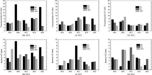 Temporal and spatial variation of thraustochytrid and bacterioplankton abundance in the water column.