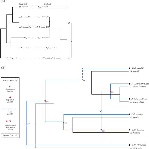 (a) Tanglegram built from the phylogenetic trees and individual associations between PI (confirmed and presumed) Rickettsia species and their eulophid insect hosts. (b) Cophylogenetic scenario between the thelytokous eulophids tree and its host ’s tree from Jane 2 (4 cospeciation events, 1 duplication, 1 duplication and host switch, 1 loss, total cost = 3). Black and blue lines represent parasitoids and their Bacteria symbionts, respectively.