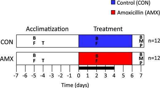 Timeline of experimental period. The acclimatisation period was from day 7 to day 0 and treatment period from day 0 to day 6. All animals were euthanised on day 7. Blood samples (B) as well as faecal samples (F) and mucosal samples (M) were collected as indicated. Gastrointestinal transit time analysis (T) was performed on day 4, and pathological examination (P) was performed during dissection. A digestibility trial (box) was performed from day 0 to day 4 during the treatment period.