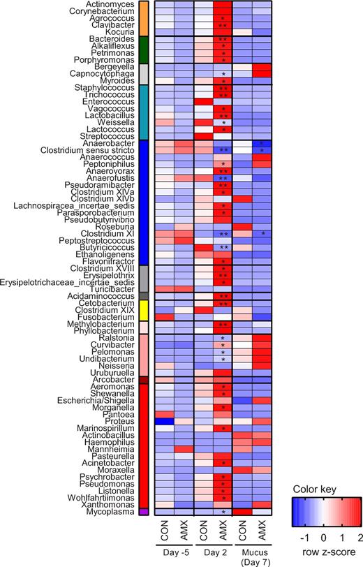 Heatmap of z-scores calculated based on average relative abundance within each row for the control group (CON, n = 12) and the group receiving amoxicillin (AMX, n = 11–12) on day 5, day 2 and mucus sample (day 7). The bacterial genera depicted represent above 25% prevalence collectively in all samples. Asterisks indicate significant difference between the control group and the antibiotic treatment group compared at the same treatment time (FDR-corrected permutation based t-test). *P < 0.05, **P < 0.01. The left-hand colour bar shows the taxonomic classification of bacterial genera at the class level (Orange: Actinobacteria, dark-green: Bacteroidia, light-gray: Flavobacteria, light-blue: Bacilli, blue: Clostridia, grey: Erysipelotrichia, dark-grey: Negativicutes, yellow: Fusobacteria, faint-pink: α-Proteobacteria, salmon: β-Proteobacteria, dark-red: χ-Proteobacteria, red: γ-Proteobacteria and violet: Mollicutes.