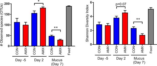 Alpha diversity of the bacterial communities in the faeces samples, mucosal scraps as well as feed samples. Bacterial richness (number of observed OTUs) (A) and Shannon diversity index (B) are shown for faecal samples obtained on day 5 and day 2, mucus samples obtained post mortem on day 7 and feed samples obtained at the end of study. Columns show mean values of the control group (CON, n = 12), the amoxicillin group (AMX, n = 12) as well as feed samples (feed, n = 5) with standard error of the means indicated by error bars. Significant differences between groups are indicated by asterisks *P < 0.05 and **P < 0.01.