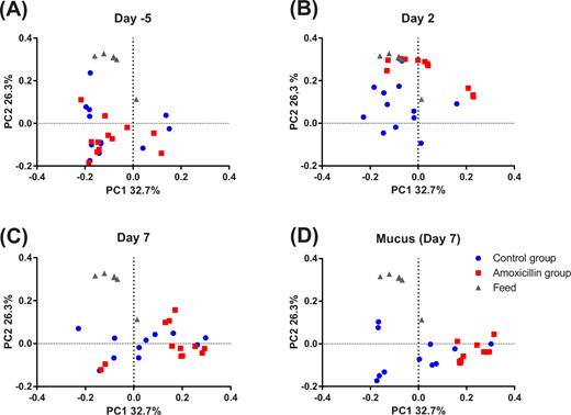 Beta diversity represented as PCoA based on unweighted UniFrac distance matrix at day 5 (A), during the treatment period at day 2 (B), at the end of treatment at day 7 (C) as well as mucusa-associated microbiota samples collected post mortem at day 7 (D). Each dot represents a faecal or mucus sample from individual animals in the control group (blue, n = 12) and amoxicillin group (red, n = 12). Feed samples obtained at the end of the study are also included (grey, n = 5).