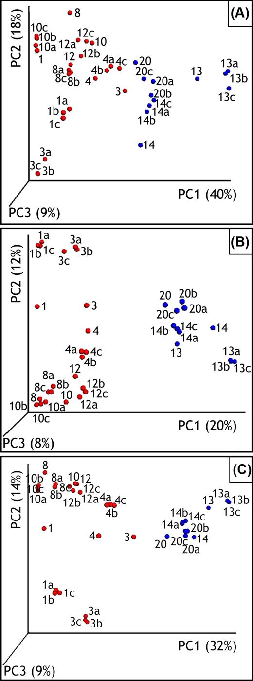 Three-dimensional PCoA plots of weighted UniFrac (A), unweighted UniFrac (B) and Bray−Curtis (C) distances between the soil samples collected in the trench (red) and in the surrounding soils (blue). Samples are identified with a number corresponding to the sampling position. To enhance readability, the samples collected in April 2009 are labeled with a single number, whereas the triplicates performed in October 2009 are labeled as Xa, Xb or Xc. The % variation explained by the PCs is indicated on the respective axes and refers to the fraction of the total variance.