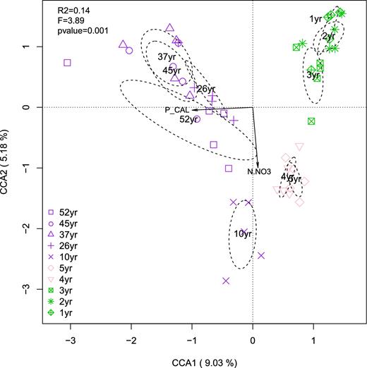 The CCA of soil Glomeromycotina community composition as a function of plant-available P and nitrate along a 52-year soil-recultivation chronosequence. The first two canonical axes explained 14.2% (R2adj = 0.11; pseudo-F = 3.89, DFmodel = 2, DFresidual = 47, P < 0.001) of the total variation in the community composition (axis 1 = 9%, axis 2 = 5.2%). Both CCA axes were statistically significant when the permutation test was conducted by axis (axis 1: pseudo-F = 4.95, DFmodel = 1, DFresidual = 47 P < 0.001; axis 2: pseudo-F = 2.84, DFmodel = 1, DFresidual = 47 P < 0.001). Ellipses denote 1 standard deviation around the group centroid of samples at different times since recultivation. Green, phase 1, 1- to 3-year-old fields, alfalfa cultivation; pink, phase 2, fields recently converted to conventional agriculture (4 and 5-year-old fields, barley cultivation); purple, phase 3, agricultural fields returned to farmers (10 to 52-year-old fields, wheat cultivation).