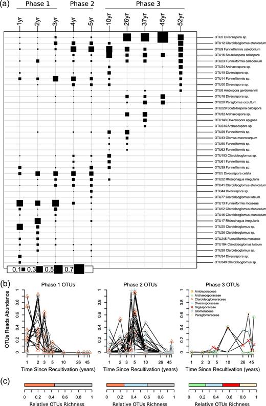Glomeromycotina Operational Taxonomic Units (OTUs) succession along a 52-year soil-recultivation chronosequence. (a) Plot of the mean relative abundance of OTUs per time since recultivation. The 20 most represented OTUs per time since recultivation are presented (all OTUs occurred in more than 2 samples). (b) Relative number of reads per time since recultivation for OTUs that are significant indicators of phase 1 (1- to 3-year-old fields, alfalfa cultivation), phase 2 (4 and 5-year-old fields, barley cultivation) or phase 3 (10- to 52-year-old fields, wheat cultivation) in indicators species analysis. (c) Family-level abundance (relative number of OTUs) of indicators OTUs in phase 1, phase 2 and phase 3.