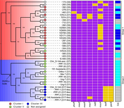 Molecular phylogeny performed by using the softcore of 39 P. aeruginosa isolates. The Groups 1 (blue) and 2 (red) correspond to the large groups as defined elsewhere (Stewart et al.2013; Freschi et al.2015) and derived from Fig. 1. The coloured circles define the isolates and their corresponding clustering as established by Ouellet et al. while the grey circles correspond to the new isolates. Finally, the predicted serotype was indicated for each isolate. The heatmap represents the genes encoding key regulators that are disrupted (yellow rectangles) or not (violet rectangle) in every isolate. The Col. column indicates the appearance of the colonies: mucoid (blue), slightly shiny (light blue) and flat (grey).