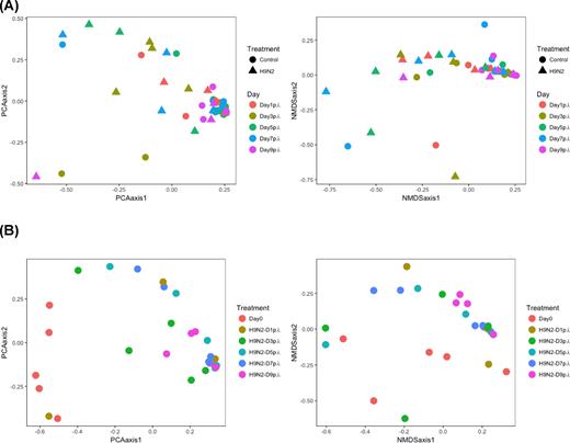 (A) PCoA and NMDS plots illustrating the chicken fecal microbiome beta diversity by comparing control and H9N2 groups at different time points. (B) PCoA and NMDS plots illustrating the chicken fecal microbiome beta diversity of both pre- and post-infection where samples were collected at Day 0 (pre-infection) and Days 1, 3, 5, 7 and 9 post infection from the same chickens.
