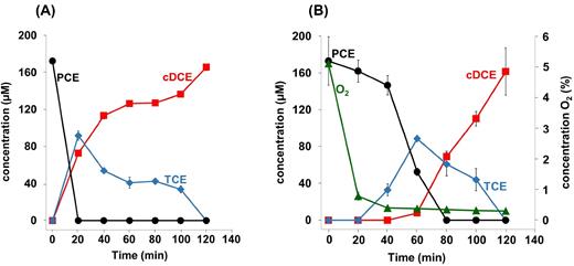 Dechlorination of PCE by cell suspensions of S. multivorans in the presence of different oxygen concentrations. (A) Dechlorination of PCE and formation of cDCE and TCE in the absence of oxygen. (B) Dechlorination of PCE and formation of cDCE and TCE as well as the consumption of oxygen. The initial oxygen concentration was 5% in the gas phase (as measured to be 1.86 mg/L in the medium); the protein concentration was 12–20 μg/ml.