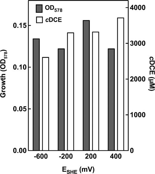 Redox potential-dependent dechlorination of PCE to cDCE in S. multivorans cultures. During cultivation (formate/acetate/PCE), the redox potential of the medium was kept constant at the desired value. After 20 h of cultivation, OD and cDCE were determined.
