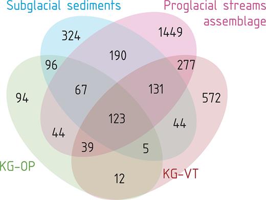 Venn diagram showing the shared and habitat-specific OTUs in subglacial sediment (five samples in duplicates), proglacial streams assemblage (five samples in triplicates), outwash plain and vegetated terrace (one sample each in duplicates).