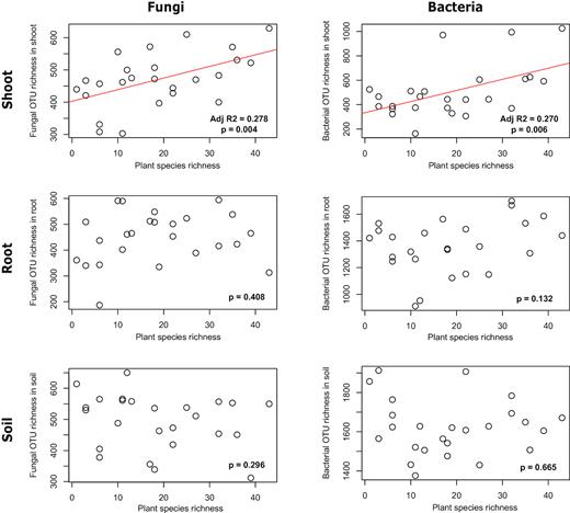 Correlations between fungal and bacterial OTU richness and plant species richness. The lines represent the significant linear regression models with the best fit.