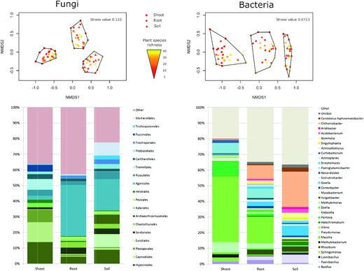 Differences in microbial community composition in shoots, roots and soil. Nonmetric multidimensional scaling (NMDS) diagrams show fungal and bacterial community compositions on a single-sample level. The effects of compartments on microbial communities were highly significant in PERMANOVA tests, explaining 34% and 50% of the variability in OTU composition for fungi and bacteria, respectively (adjR2 = 0.34, adjR2 = 0.50, P < 0.001 in both cases). Plant species richness had no significant effect on any of the studied compartments. Barcharts show relative abundances of the most abundant fungal orders and bacterial genera in each compartment.