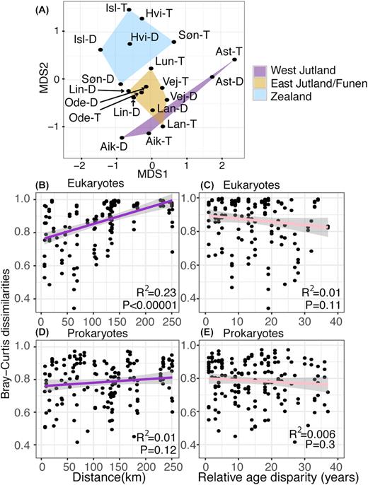 (A) NMDS 2D plot of the eukaryotic dataset. 1000 replications, stress = 0.16. Waterworks encapsulated in polygons according to their geographical region (see the regions in Fig. 1). As in Fig. 2, we used the three first letters in their names as an abbreviation, with a -T added for prefilter/top sample, and -D for postfilter/depth sample. For a bacterial NMDS plot, see Fig. 2 in Albers et al. (2015a). Pairwise geographic distance correlations with pairwise Bray–Curtis dissimilarity for eukaryotes (B), and prokaryotes (D). Pairwise age disparity correlations with pairwise Bray–Curtis dissimilarity for eukaryotes (C), and prokaryotes (E). Pairs of pre- and postfilters from the same waterworks (with a mutual geographical distance and age disparity of 0) were excluded. Grey shades represent 95% confidence intervals of a linear model. Logaritmic models (log (distance)+1) gave similar or poorer fits with BC-dissimilarity. Note that while age of filter material correlates strongly with increasing eukaryotic richness (α-diversity) (Fig. 3A), the eukaryotic community dissimilarity (b-diversity) correlates with geographic distance (Fig. 5B), not with age differences (Fig. 5C).