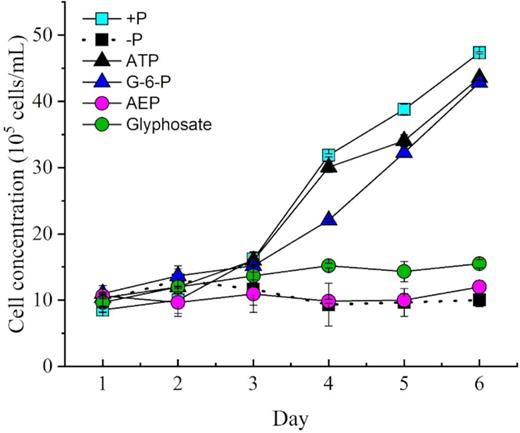Growth curves of Symbiodinium (zooxanthellae) under different phosphorus conditions.