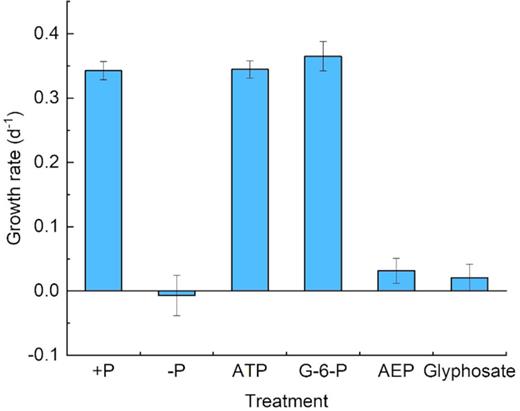 Growth rate of Symbiodinium (zooxanthellae) under different P conditions with antibiotics.