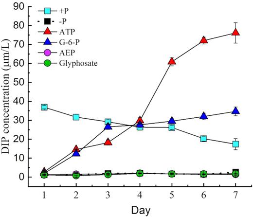 DIP concentrations in the medium of Symbiodinium (zooxanthellae) cultured in different P groups.