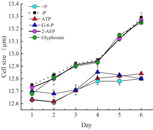 Cell sizes of zooxanthellae grown under different P conditions.