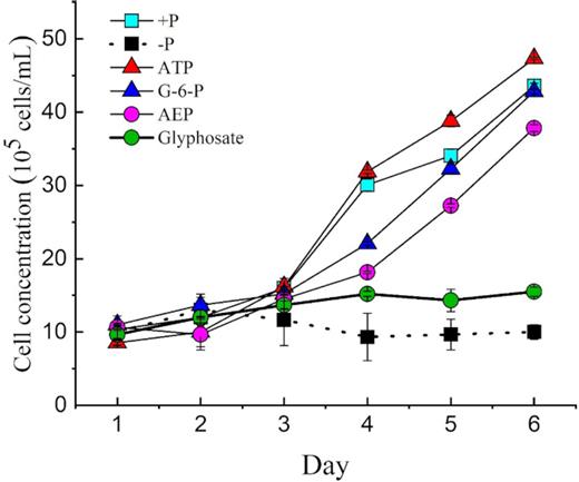 Growth curves of Symbiodinium (zooxanthellae) with different P sources without antibiotics.