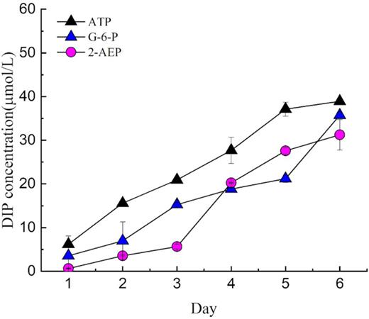 DIP concentration in the non-antibiotic cultures without algae but with bacterial filtrate.