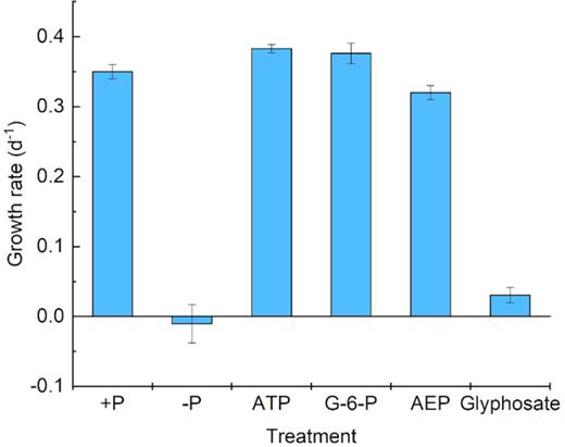 Growth rate of Symbiodinium (zooxanthellae) under different P conditions without antibiotics.