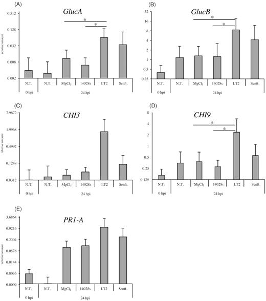 Transcriptional response of tomato to the different Salmonella strains. Tomato plants were grown in sterile ¼-strength MS medium for 3 weeks and subsequently spray-inoculated with 108 CFU mL−1 of Salmonella strains. In addition, non-treated (N.T.) plants and MgCl2 (mock)-treated plants were used as controls. The response was assessed 24 hours post-inoculation (hpi). The expression of Glucanase A and B (GlucA and GlucB) are shown in (A-B), the expression of Chitinase 3 and 9 (CHI3 and CHI9) in (C-D) and Pathogenicity Related 1-A (PR1-A) in (E). Relative expression levels were calculated after normalization with the expression level of the Actin gene, used as an internal control. Results represent means from nine independent experiments. Error bars indicate the SD. * represents P < 0.05 in Student's t-test.