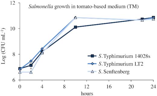 Growth of S. enterica strains in tomato medium. Pre-cultures of Salmonella were prepared in LB medium and incubated overnight at 37°C with shaking at 150 rpm. Cells were pelleted, washed and re-suspended in 10 mM MgCl2. The TM medium was inoculated with a bacterial solution adjusted to a density of 0.01 at OD600nm (107 CFU mL−1) and incubated at 28°C overnight with shaking at 150 rpm. Samples were taken at the indicated time, and serial dilutions were made using 10 mM MgCl2. Duplicated dilution series were dropped in technical duplicates on Xylose–Lysine–Desoxycholate (XLD) plates with respective antibiotics and CFUs were counted after overnight incubation at 37°C. Error bars represent SD from three replicates.