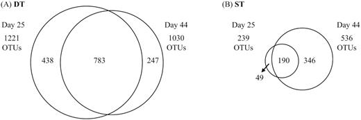 Scaled Venn diagrams depicting the diversity in biofilm communities of treatments DT (A) and ST (B) on day 25 and day 44, and of the fraction of common OTUs between the two time points.