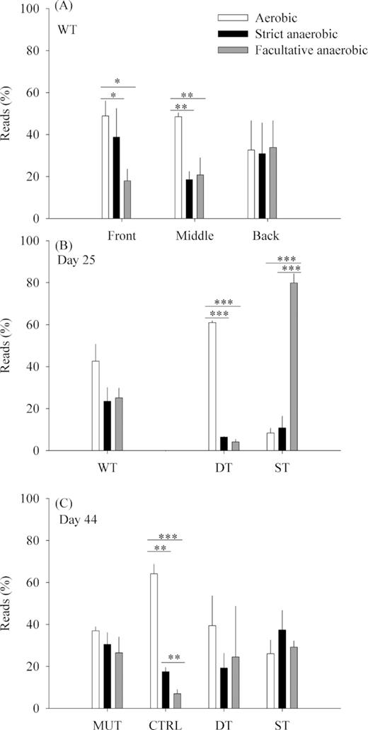 Proportions of reads classified into three metabolic groups (aerobic, strict anaerobic, facultative anaerobic): (A) across the three sections of WT biofilms (average ± SD, n = 3) on day 25; (B) in biofilms collected on day 25; (C) in biofilms collected on day 44. Only significant differences are represented (***P < 0.001, **P < 0.01, *P < 0.05). Altogether, 89% of all reads could be classified.